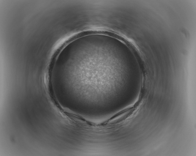 X0000115731319200911121504