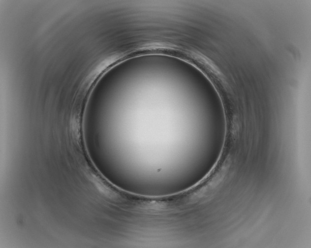 X0000115731321200911121504