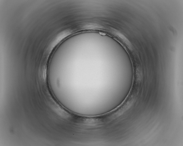 X0000115731322200911121504