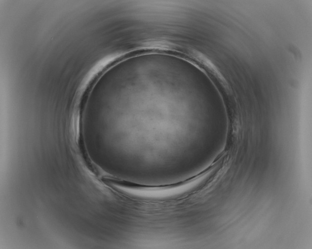 X0000115731323200911121504
