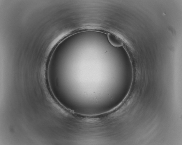 X0000115731325200911121504