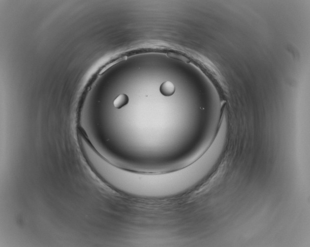 X0000115731326200911121504