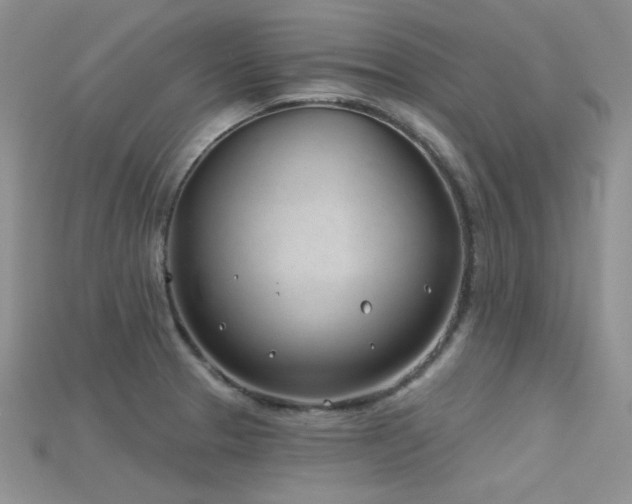 X0000115731329200911121504