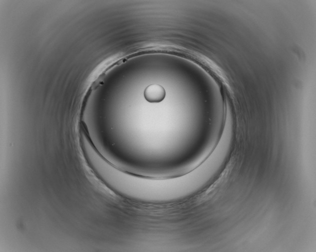 X0000115731330200911121504