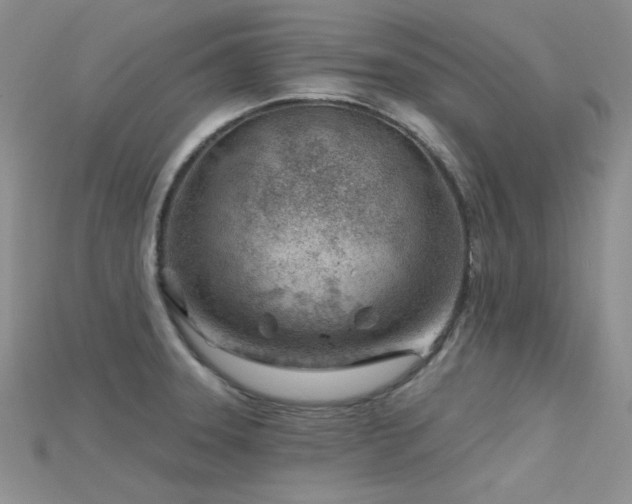 X0000115731331200911121504