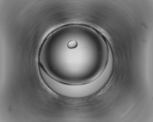 X0000115731334200911121504