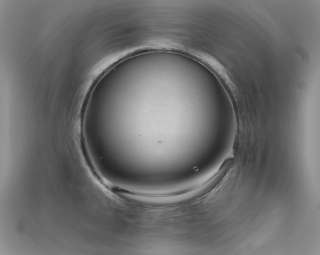 X0000115731335200911121504