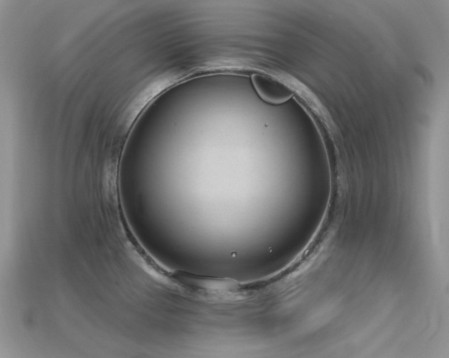X0000115731337200911121504