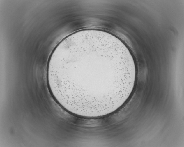 X0000115731338200911121504