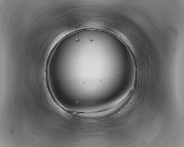 X0000115731339200911121504