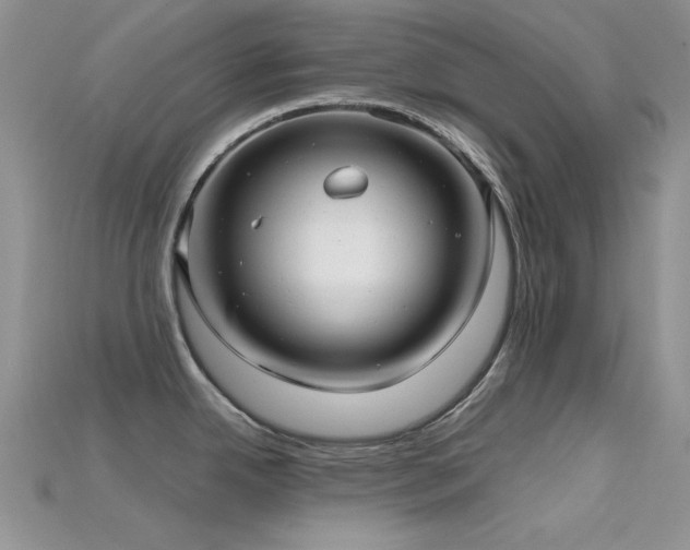 X0000115731342200911121504
