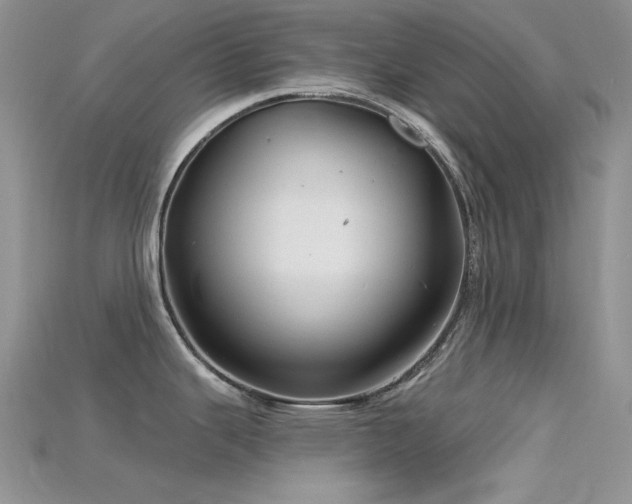 X0000115731343200911121504