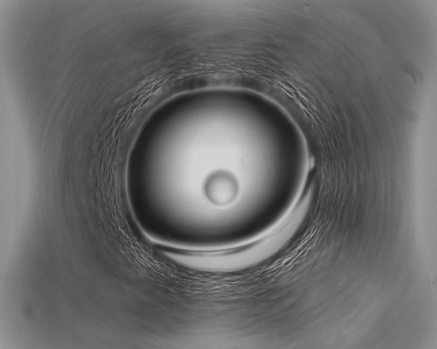 X0000115731345200911121503
