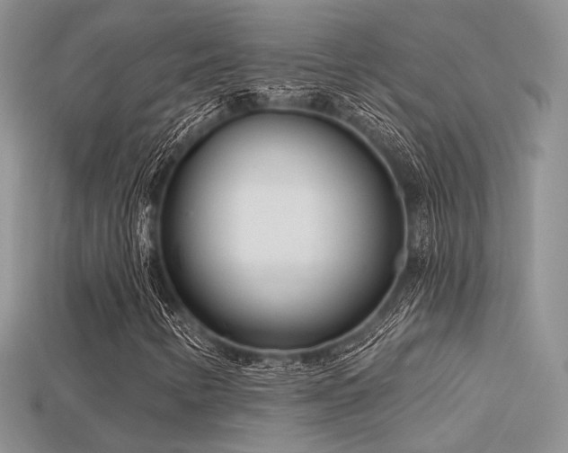 X0000115731346200911121503