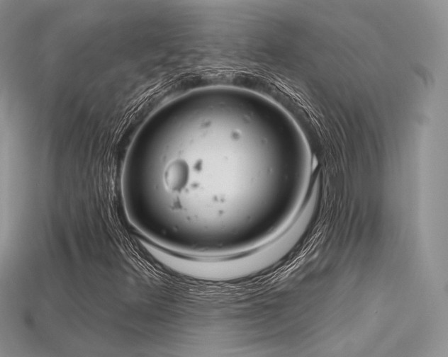 X0000115731348200911121503