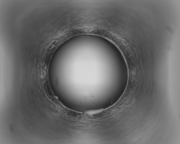 X0000115731349200911121503