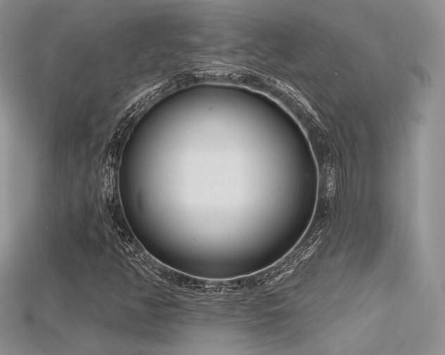 X0000115731350200911121503