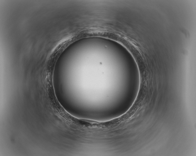 X0000115731351200911121503