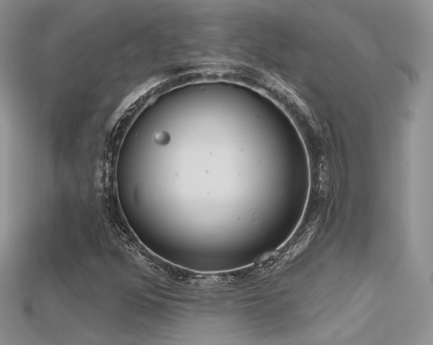 X0000115731352200911121503