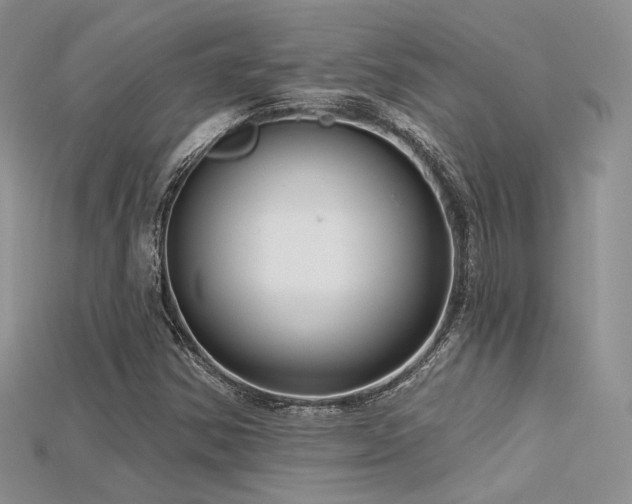 X0000115731354200911121503