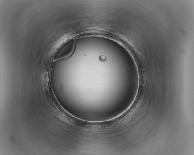 X0000115731355200911121503