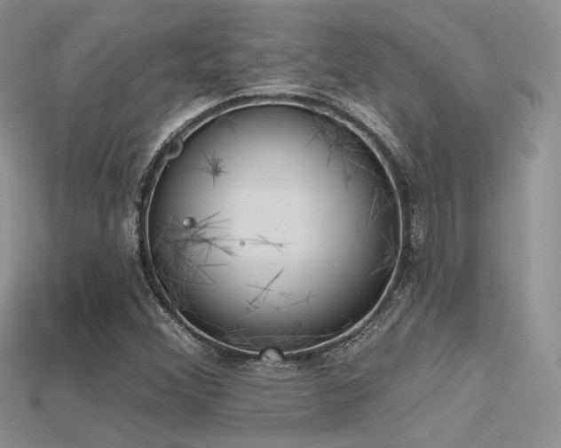 X0000115731356200911121503
