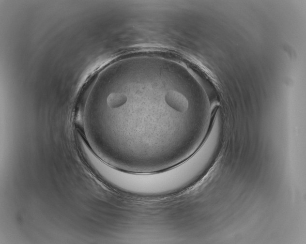 X0000115731357200911121503