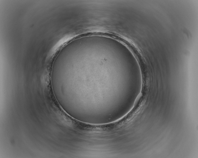 X0000115731359200911121503