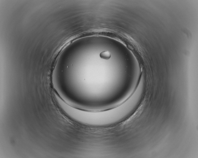 X0000115731361200911121503