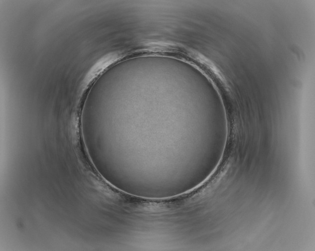 X0000115731362200911121503