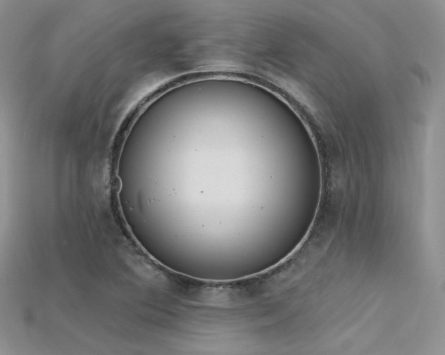 X0000115731364200911121503