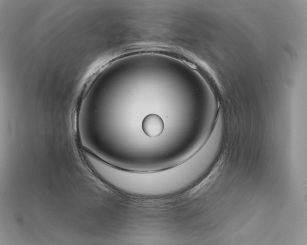 X0000115731365200911121503
