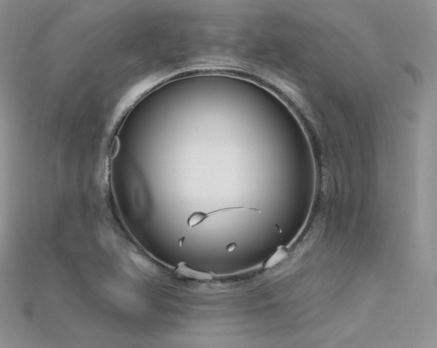 X0000115731366200911121503