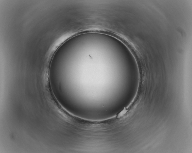 X0000115731367200911121503