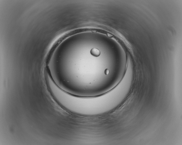 X0000115731368200911121503