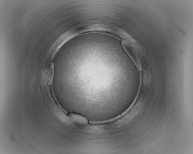 X0000115731369200911121503