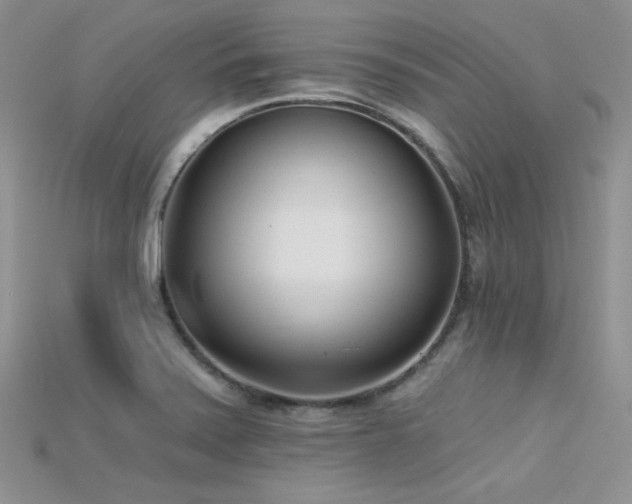X0000115731371200911121503