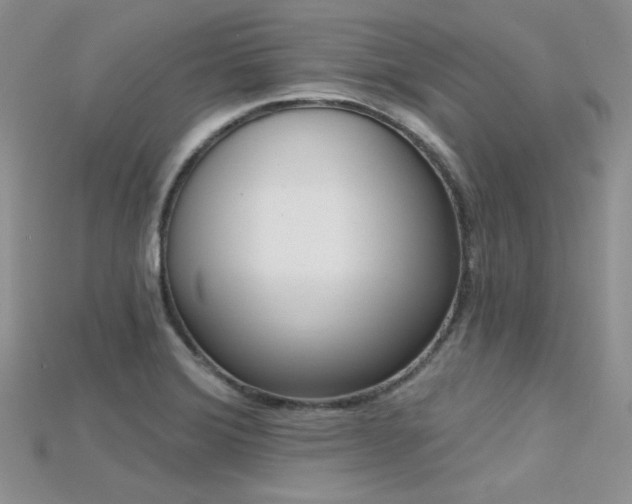 X0000115731372200911121503