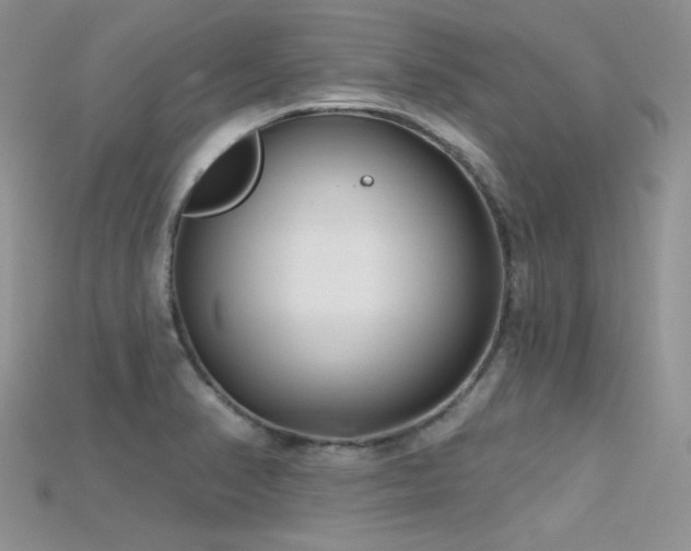 X0000115731374200911121503