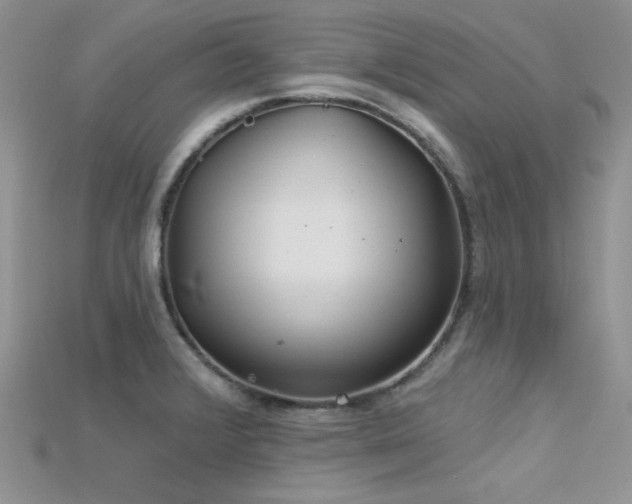 X0000115731376200911121503