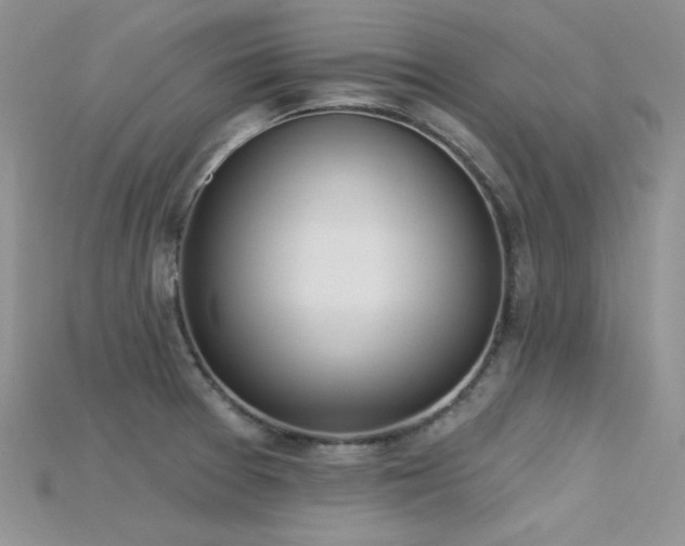 X0000115731377200911121503