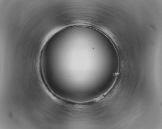 X0000115731379200911121503