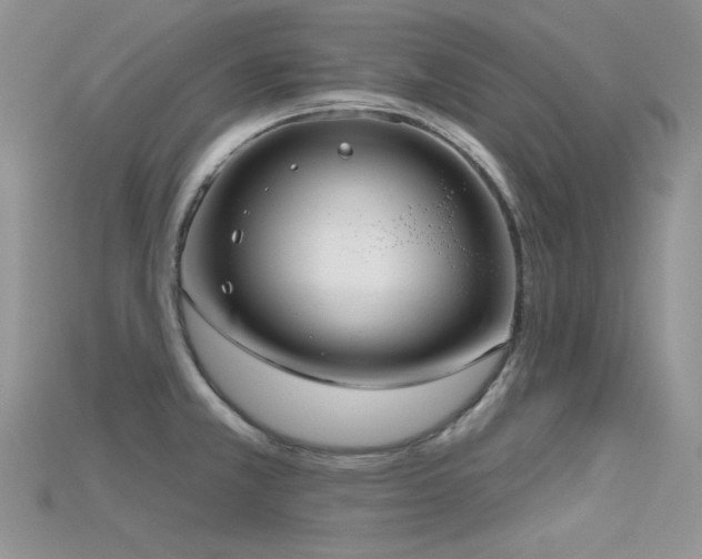 X0000115731381200911121503