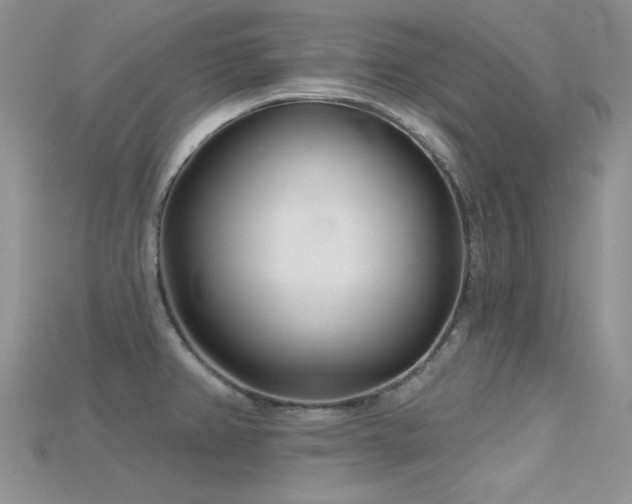 X0000115731382200911121503