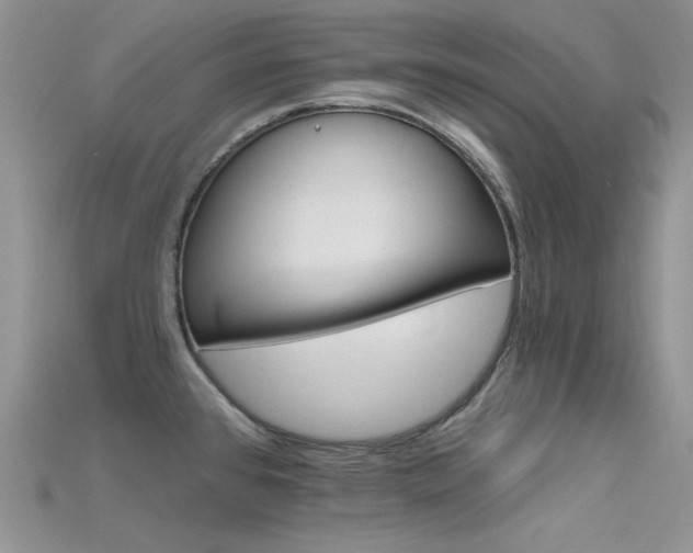 X0000115731384200911121503