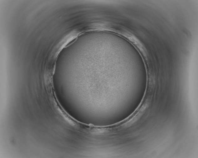 X0000115731385200911121503