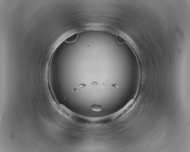 X0000115731386200911121503