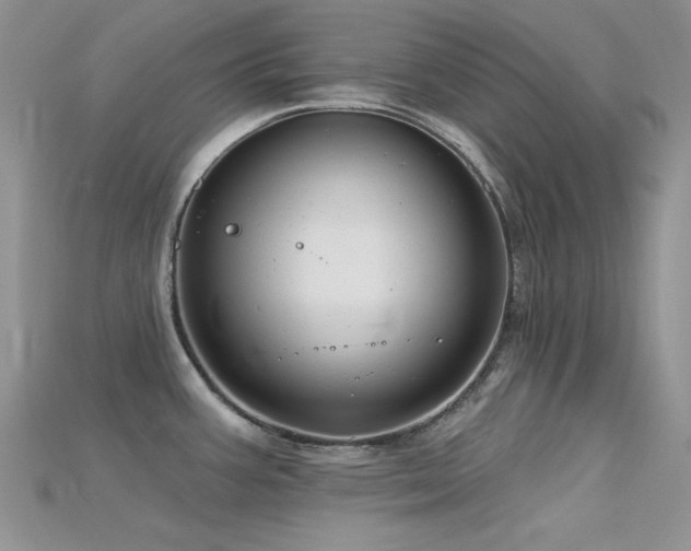 X0000115731387200911121503
