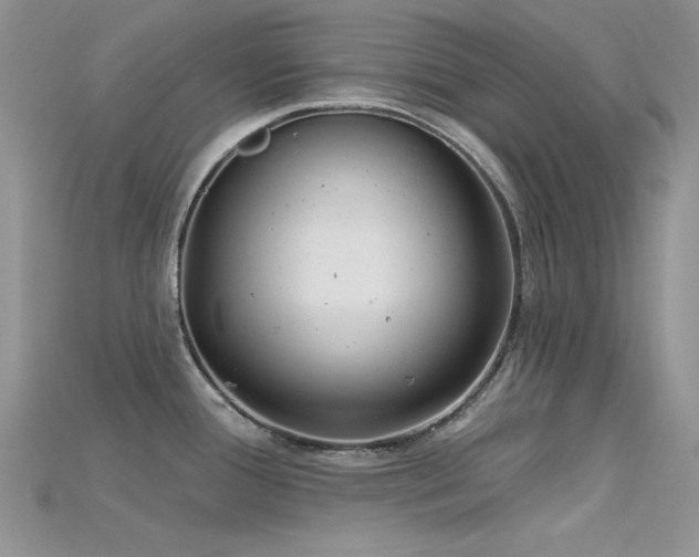 X0000115731388200911121503