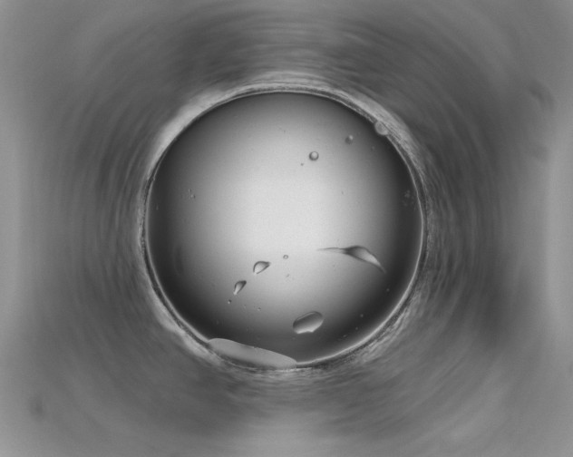 X0000115731390200911121503